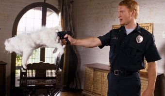 Фотоподборка за 23.10.2018