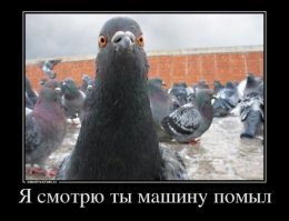 Подборка автомобильных приколов