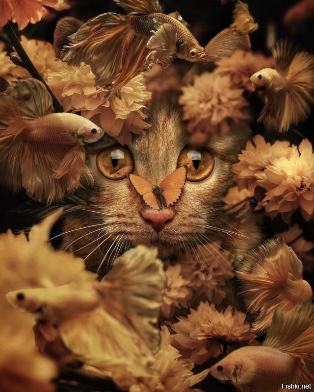 Солянка от 23.10.2018