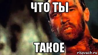 Подборка автомобильных приколов