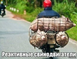 18 странных живых существ, любоваться которыми интересно, но немного страшно
