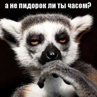 Число жертв керченской трагедии возросло до 21