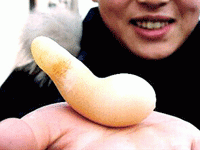 такие куриные яйца бывают.
это аномалия, но формы бывают сильно причудливые по форме.