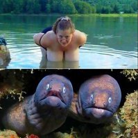 18 странных живых существ, любоваться которыми интересно, но немного страшно