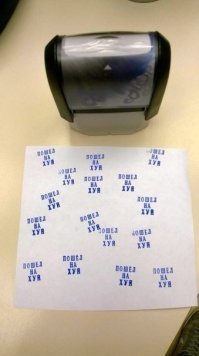 Молодая учительница выставляет оценки с помощью популярных мемов