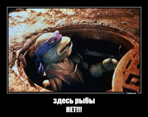 Солянка от 23.10.2018