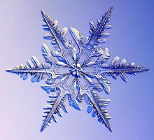 Тоже сами напилили? Творенья природы и больше ничего. Зря вы так скептически.