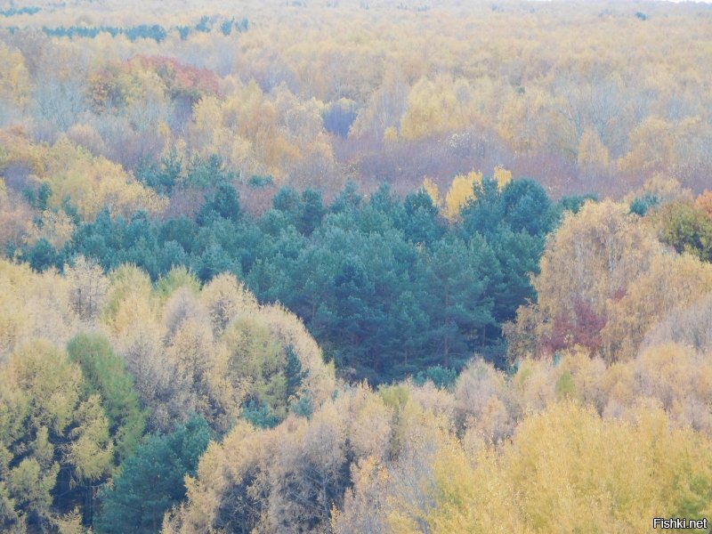 дарю хорошую погоду..
Всем.