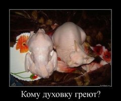 копченая курица в домашних условиях. на кухне