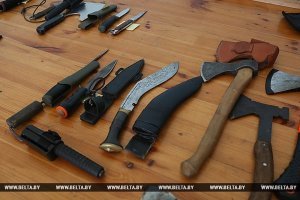 Все забыли, что голую обезьяну отличает от других животных? У кенгуру нет ни единого шанса.