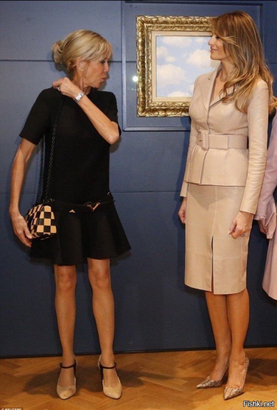 фото называется "сбывшиеся мечты" 

муж, которой слева, мечтал склеить свою училку, а муж, которой справа, маленького роста и мечтал о топ-моделе 
(слева - мадам Макрон, справа - мадам Саркози)
