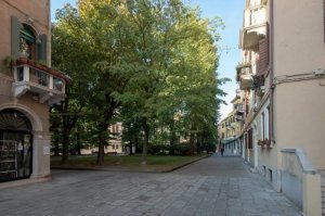 пост классный - плюс, фото не очень, если пользуешься таким объективом, поправь шопом, смотреть не приятно, такие фото в приличном обществе не покзывают за необработанные фото - минус