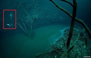 А что там на берегу?