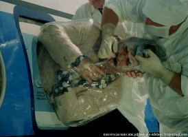 Бюджетный вариант