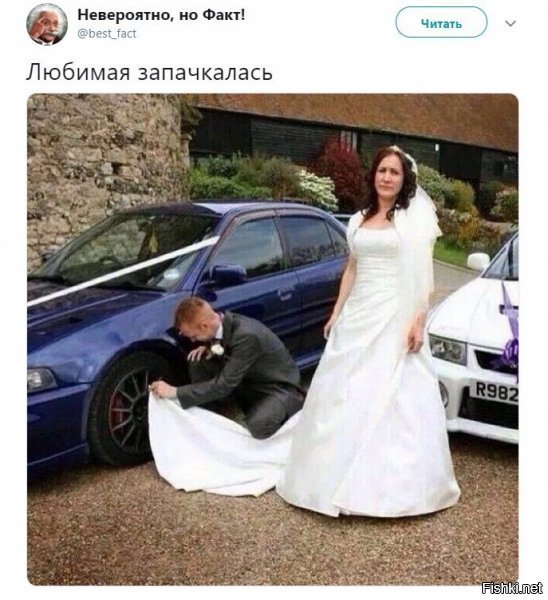 Это тоже ПОЛИТИЧЕСКИЕ комментарии ???