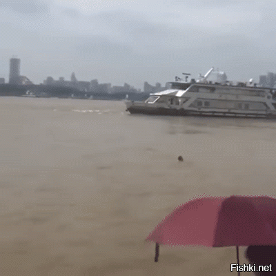 Бог не помог...