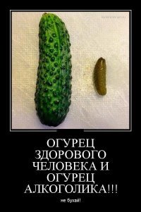 Картинки с надписями для настроения