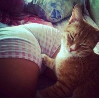 Видать сильно пшикнула!