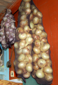 Между прочим эти ваши чулки очень удобная штука.