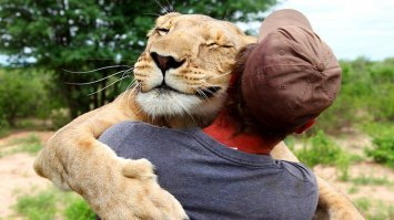 Эмоции и настроение в фотографиях