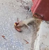 А шо это было!?