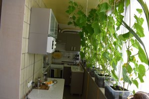 14 компактных вещей для тех, кто экономит место в квартире или чемодане