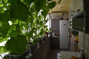 14 компактных вещей для тех, кто экономит место в квартире или чемодане