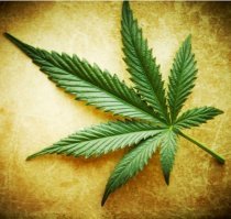 15 предсказаний из прошлого, которые НЕ сбылись с шокирующей точностью