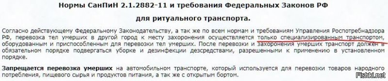 Дело-то житейское! Из России пытались вывезти мёртвую женщину на заднем сиденье