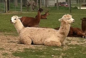 Ну прям какой то......