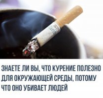 Факты обо всем на свете