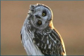 Хороший пост, отличные картинки....