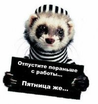 К пятнице накопилось