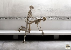 Вот это уровень: Как американская семья подготовилась к хэллоуину