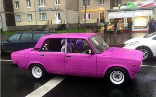 Автовсячина. Розовые