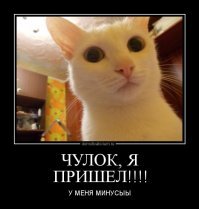 А вы знаете, почему мужчин возбуждают чулки?