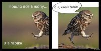 Мокрые совы, которых хочется просто взять и обогреть