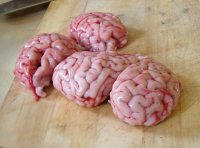 для контраста, что бы всякую хрень не постили).