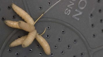 Есть и польза.:)