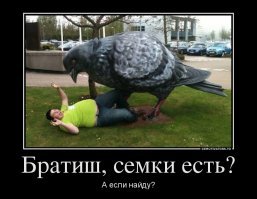 Статуи, с которыми можно сделать интересные снимки