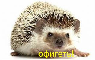 Гифки неудачного дня