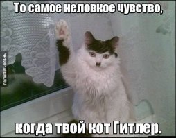 Неудачный Хэллоуин: «умный» американец нарядил сынишку в костюм Гитлера