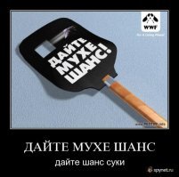 Назойливое чудо