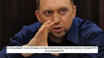 Собака притворялась по ночам бездомной, чтобы питаться бургерами