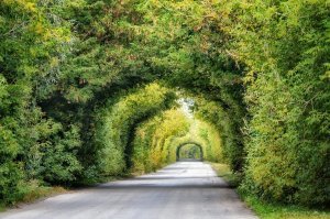 Сергач, Нижегородская обл.
