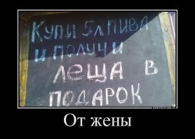 Прикольные надписи и объявления