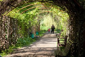 Россия, Москва, (Аптекарский огород)
И это - далеко не единственный зелёный тоннель в Москве