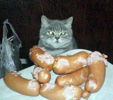 Сосиска до колена: такого поста на Фишках ещё не было