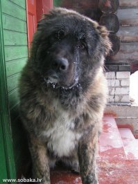 Подборка интересных и веселых картинок