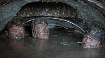 Необычная работа из яйца от киндер-сюрприза